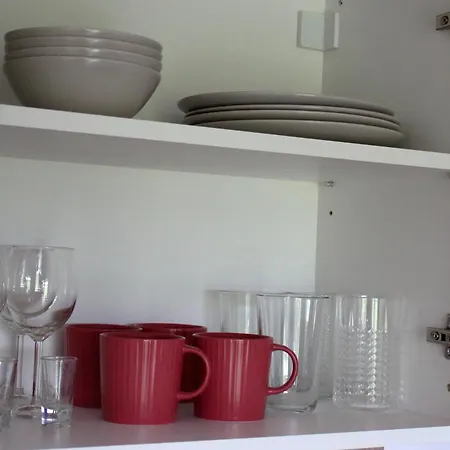 Pukuotas Pajurys * Palanga