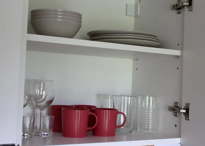 Pukuotas Pajurys * Palanga